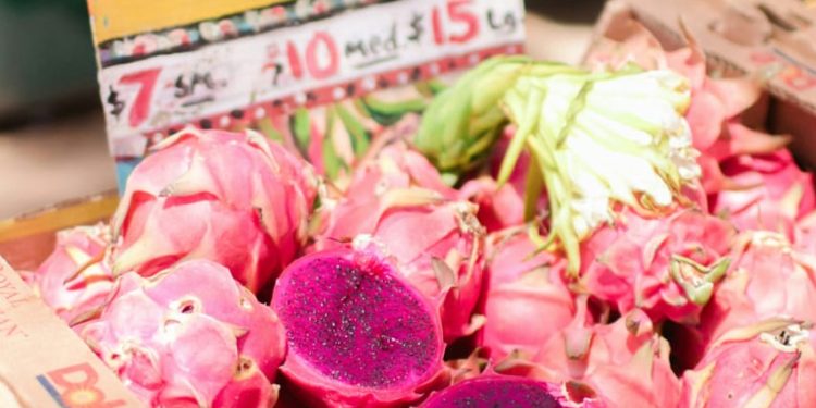 American Beauty Dragon Fruit