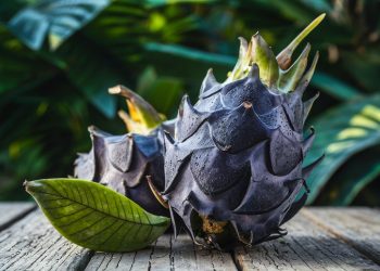 Black Dragon Fruit
