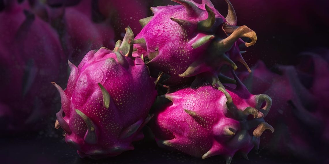 Purple Haze Dragon Fruit