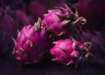 Purple Haze Dragon Fruit