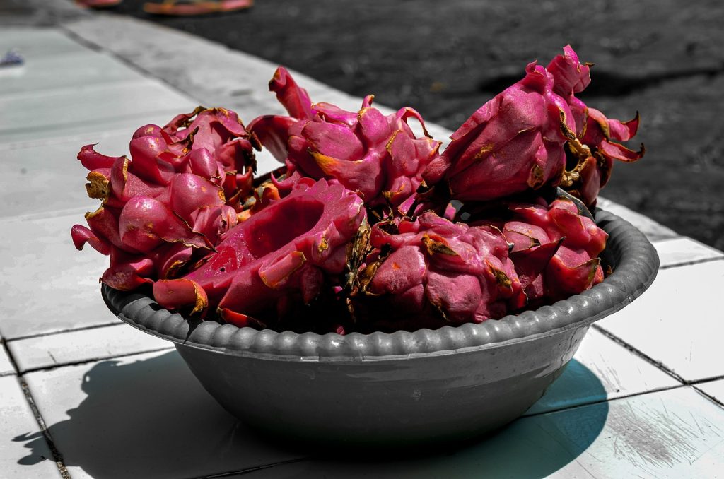 Freeze-Dried Dragon Fruit