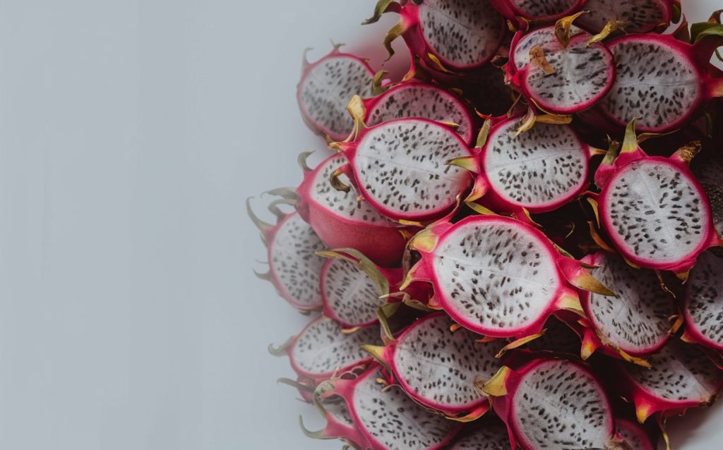 Germination of Dragon Fruit Seeds