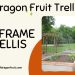 Dragon Fruit Trellis