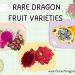 Dragon Fruits Varieties Rare