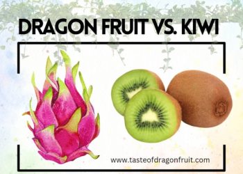 Is Dragon Fruit Related to Kiwi