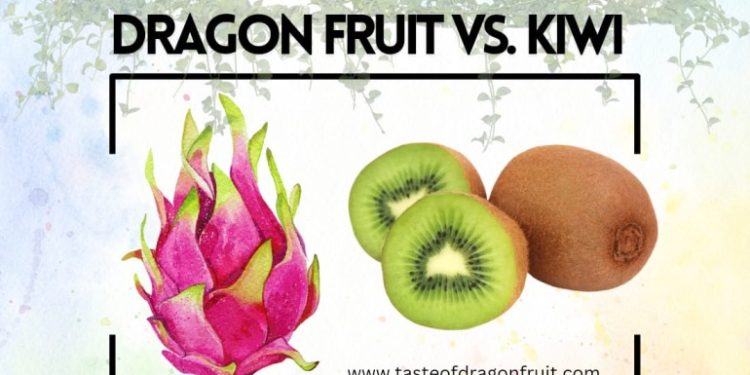 Is Dragon Fruit Related to Kiwi