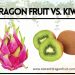 Is Dragon Fruit Related to Kiwi