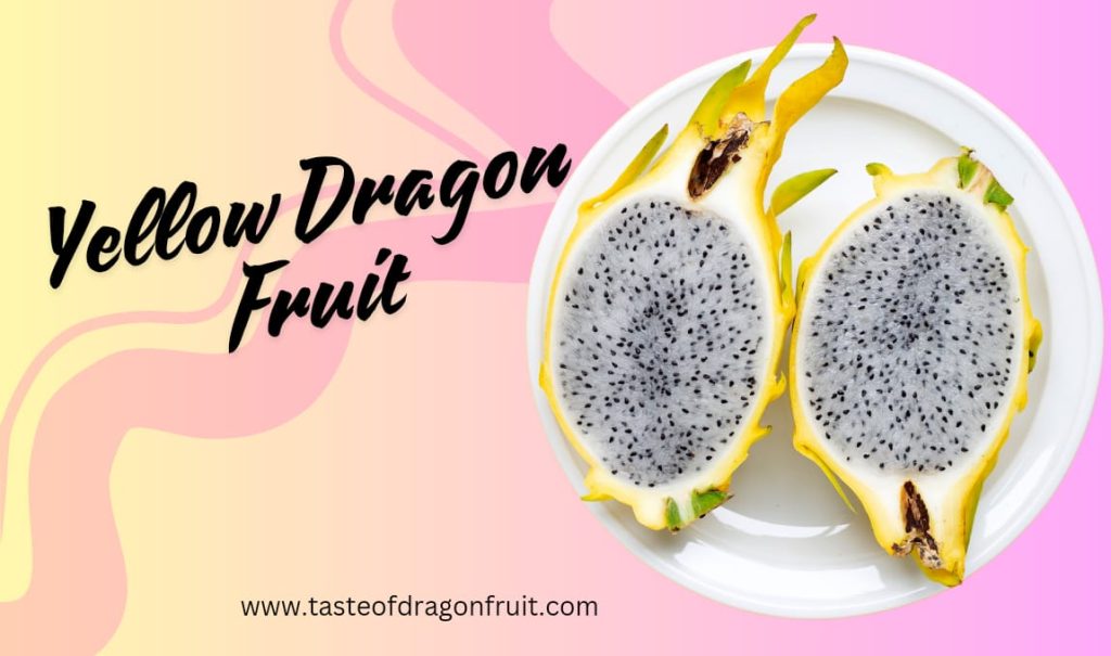 Which Dragon Fruit Variety is Rarer?