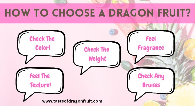 Tips to Help You Choose a Dragon Fruit