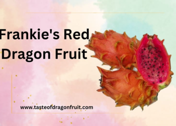Frankie's Red Dragon Fruit