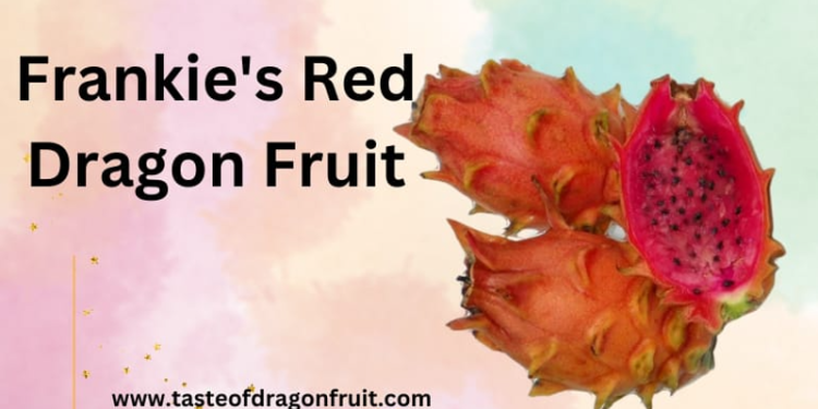 Frankie's Red Dragon Fruit