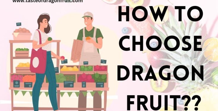 How To Choose Dragon Fruit Wisely!