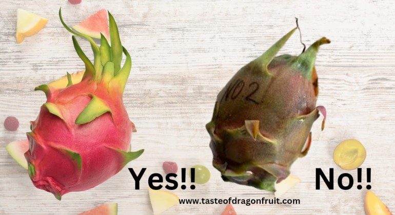 Nature's Exotic Candy- Here's How To Choose Dragon Fruit Wisely!